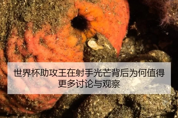 世界杯助攻王在射手光芒背后为何值得更多讨论与观察